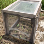 mini greenhouse